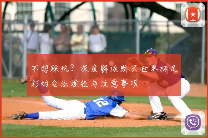不想踩坑？深度解读购买世界杯足彩的合法途径与注意事项