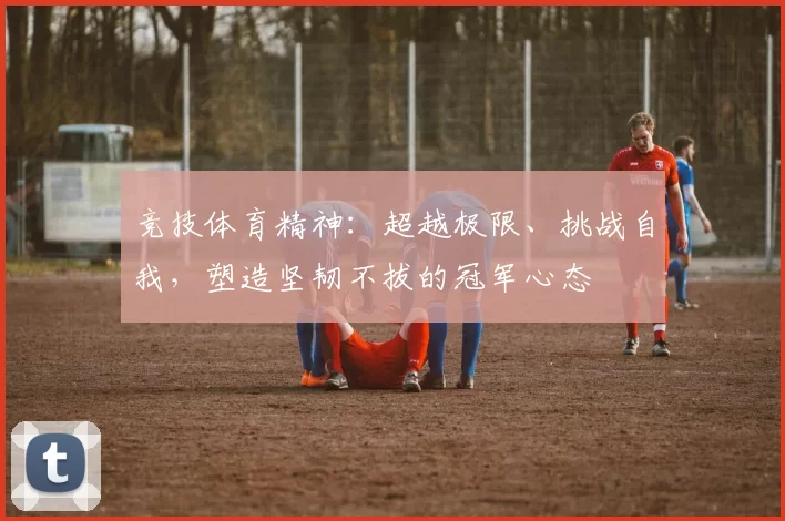 竞技体育精神：超越极限、挑战自我，塑造坚韧不拔的冠军心态