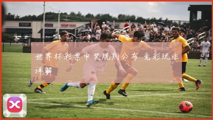 世界杯彩票中奖规则公布 竞彩玩法详解