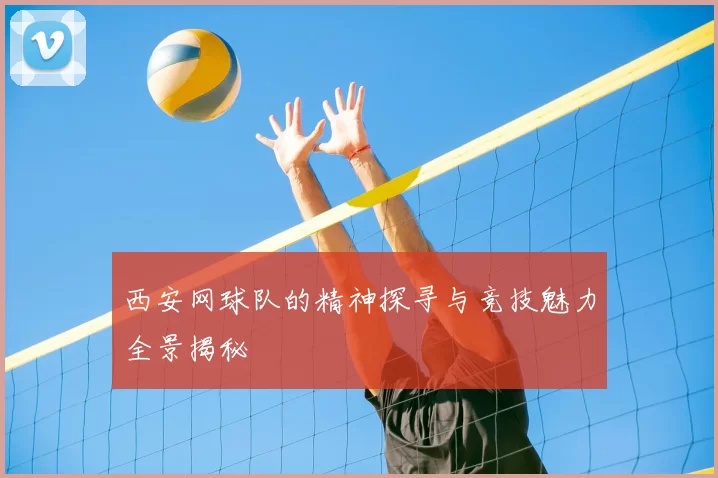 西安网球队的精神探寻与竞技魅力全景揭秘