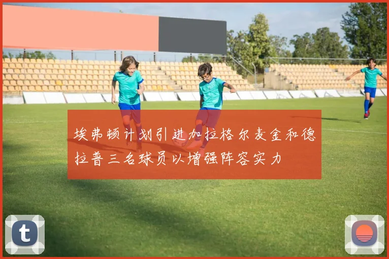 埃弗顿计划引进加拉格尔麦金和德拉普三名球员以增强阵容实力