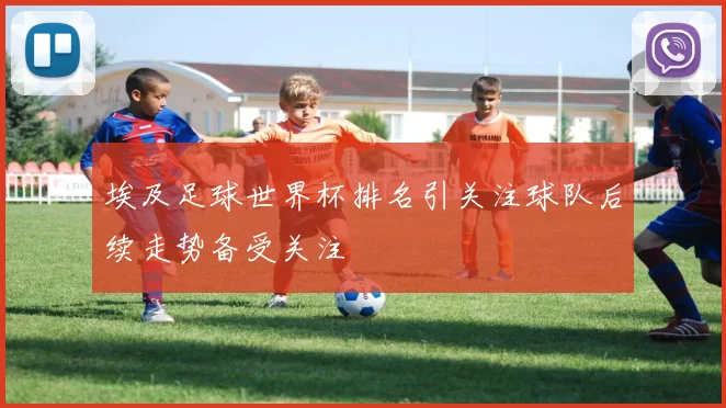 埃及足球世界杯排名引关注球队后续走势备受关注