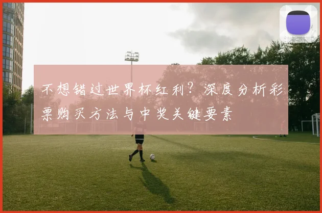 不想错过世界杯红利？深度分析彩票购买方法与中奖关键要素