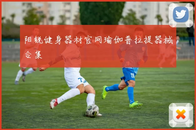 阳锐健身器材官网瑜伽普拉提器械合集